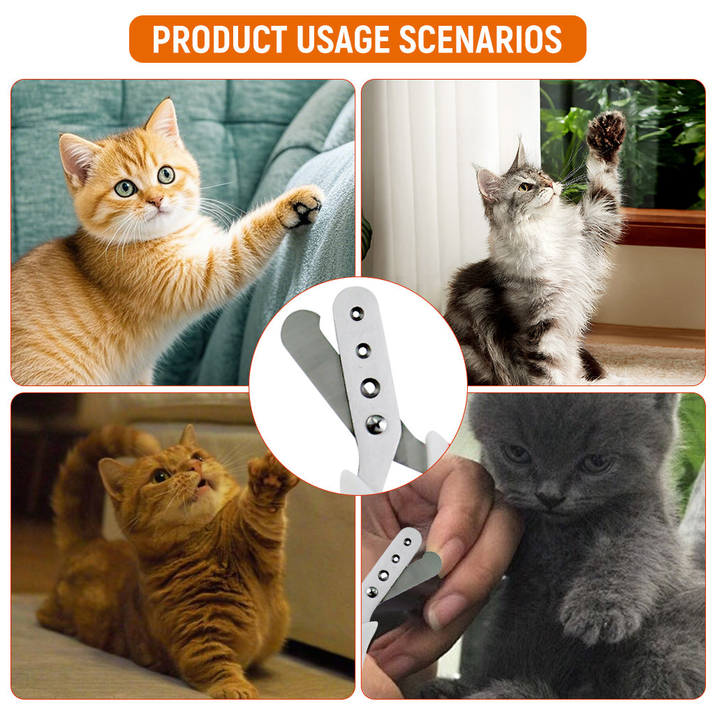 Qpets Cat Nail Clipper with 3 Cutting Guarding Holes 1.5mm/2mm/3mm Safety Nail Clipper for Cats Stainless Steel Safety Pet Nail Grooming Nail Clipper Qpets Cat Nail Clipper with 3 Cutting Guarding Holes 1.5mm/2mm/3mm Safety Nail Clipper for Cats Stainless Steel Safety Pet Nail Grooming Nail Clipper